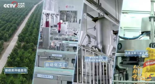 一季度營業總收入增長達36 ,洽洽食品迎來 開門紅